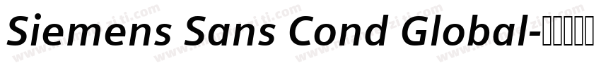 Siemens Sans Cond Global字体转换